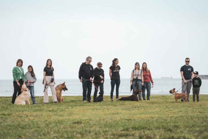 Grupo de tutores com os cães à trela num relvado junto ao mar, numa aula de grupo