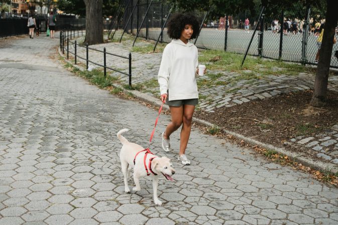 Mulher a passear um cão pequeno à trela num parque da cidade