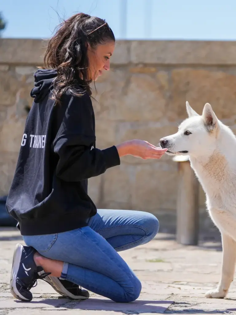 Treinadora ajoelhada a dar um biscoito a um cão branco