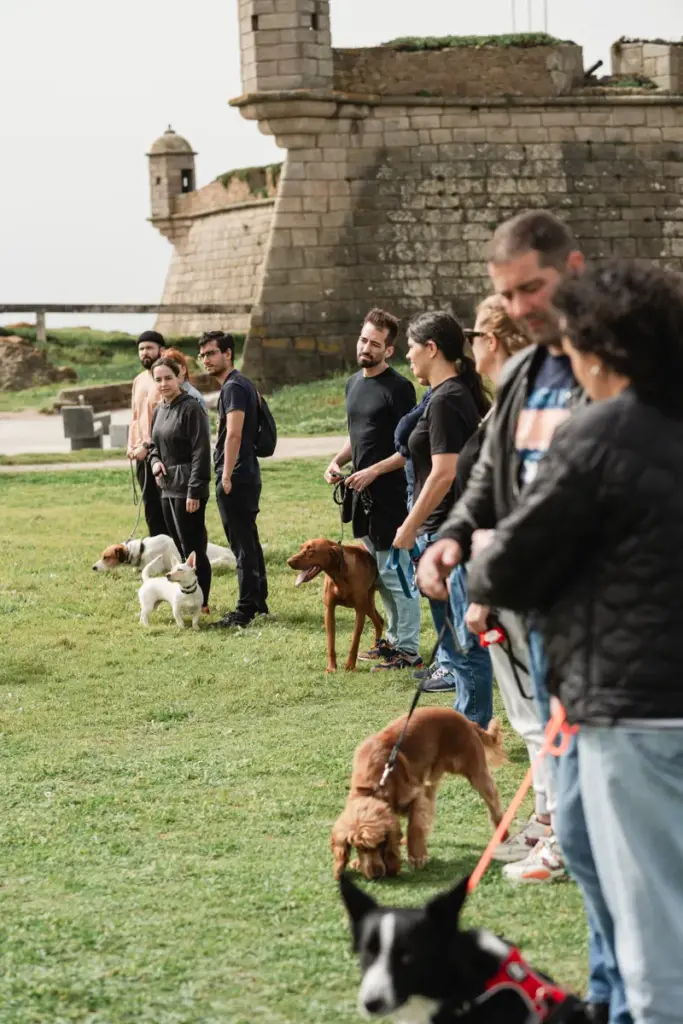 Aula de grupo com tutores e cães junto a um forte