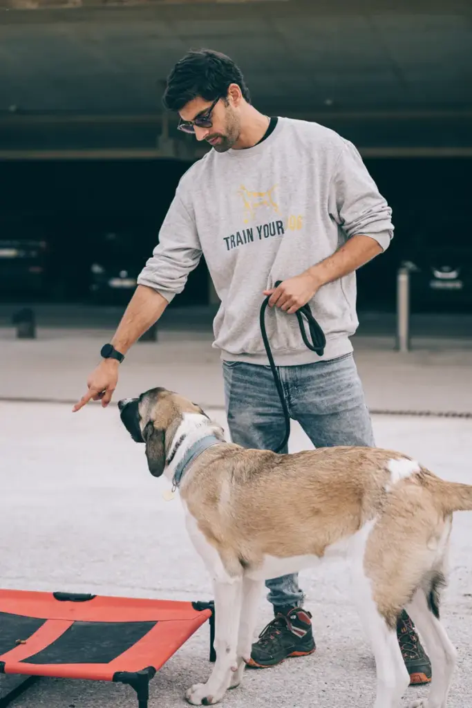 Treinador a trabalhar com um cão à trela