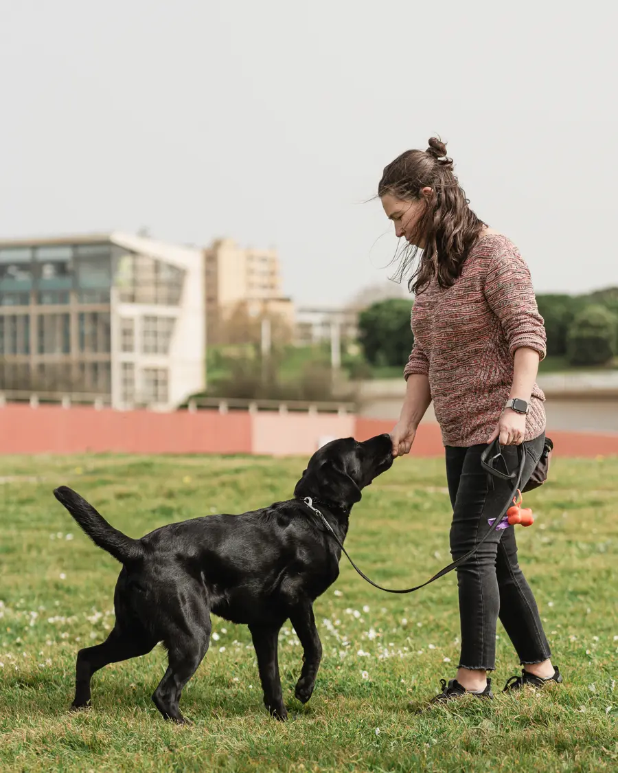 Tutora a passear um cão preto à trela num relvado