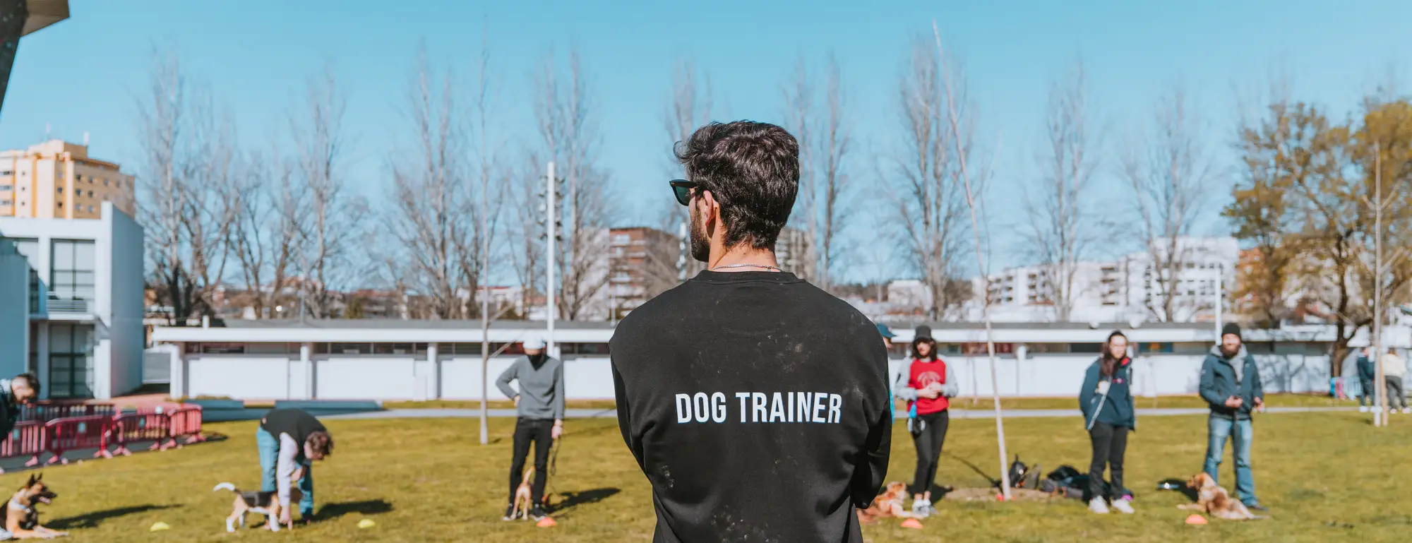 Treinador de costas, com camisola Dog Trainer, a orientar uma aula de grupo com cães num relvado
